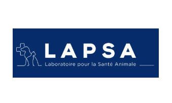 Lapsa